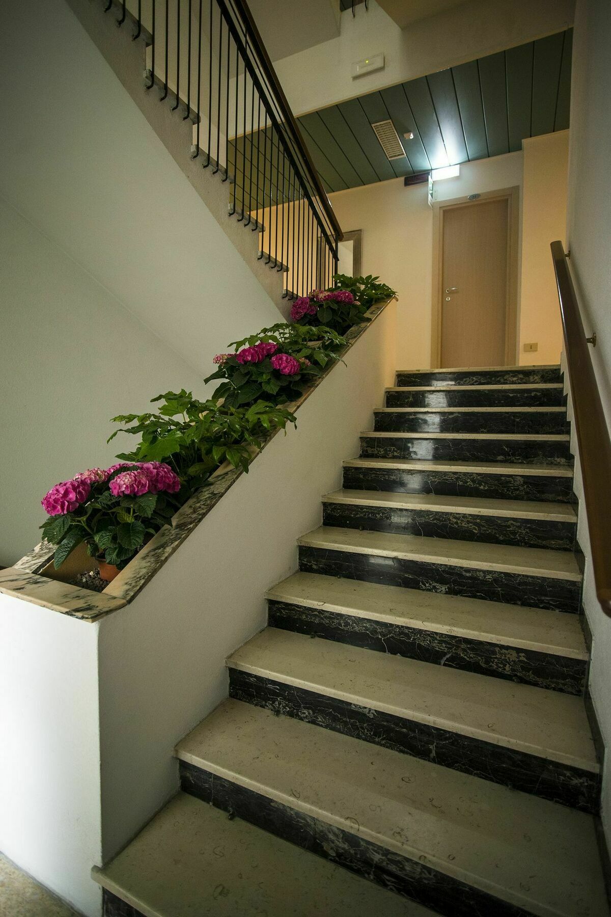 Hotel 21 Riccione Exterior photo